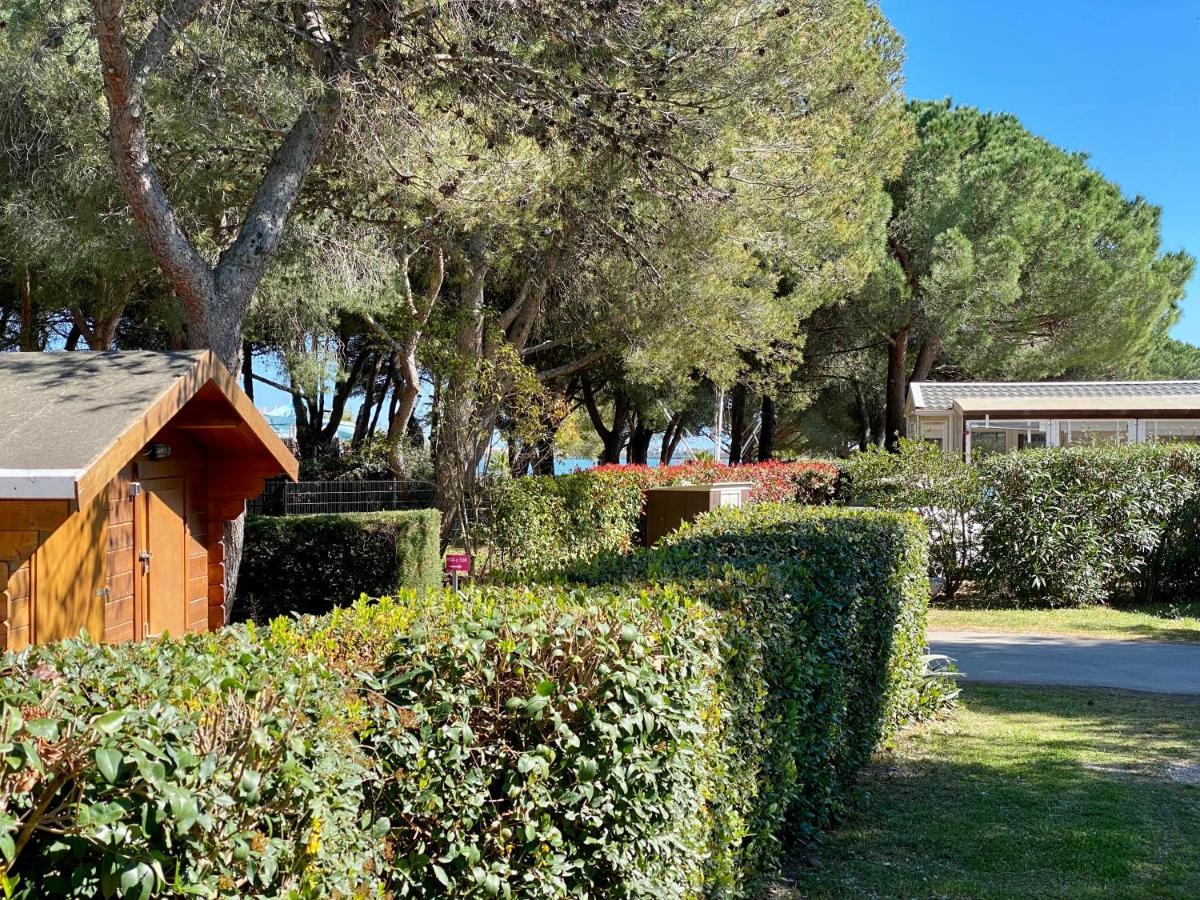 New Jungle Lake - Clim - Wifi - Draps & Serviettes - Bbq - 10' Des Plages Lattes Eksteriør billede